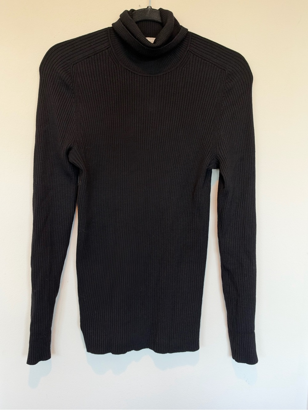 Everlane Black Ribbed Wool Turtleneck Sweater